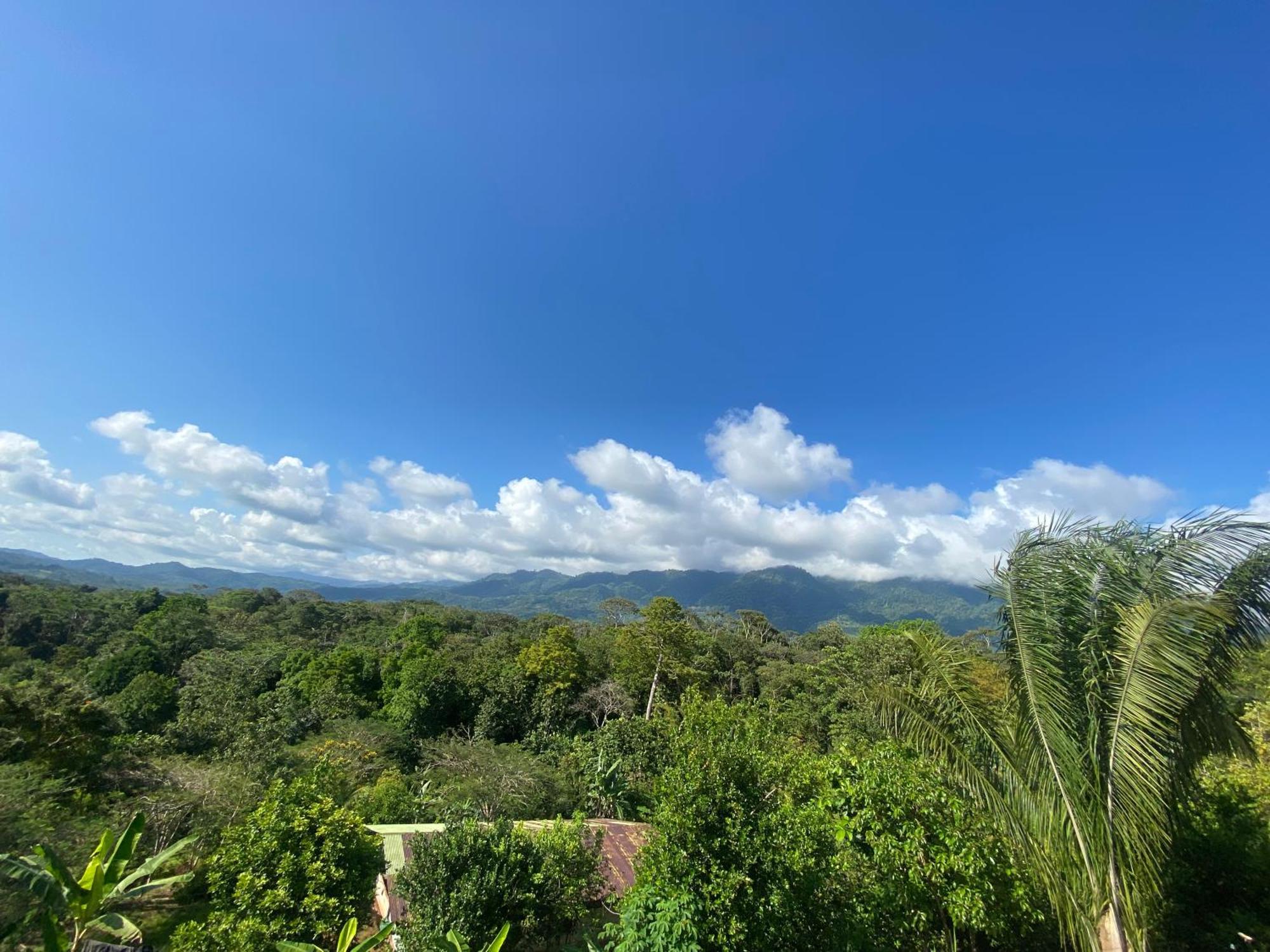 Valles Of Osa Palmar Sur Экстерьер фото
